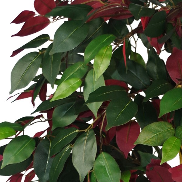 Leaf 120cm (4ft) Artificial Capensia Tree Ficus Plant - Extra Large