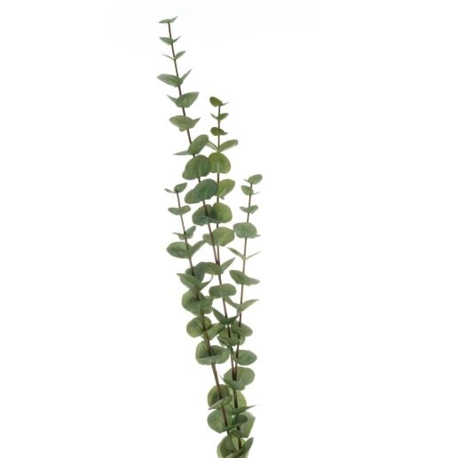 Wyld Haus Set of 3 Artificial Flowers Large Cineraria Eucalyptus Sprays
