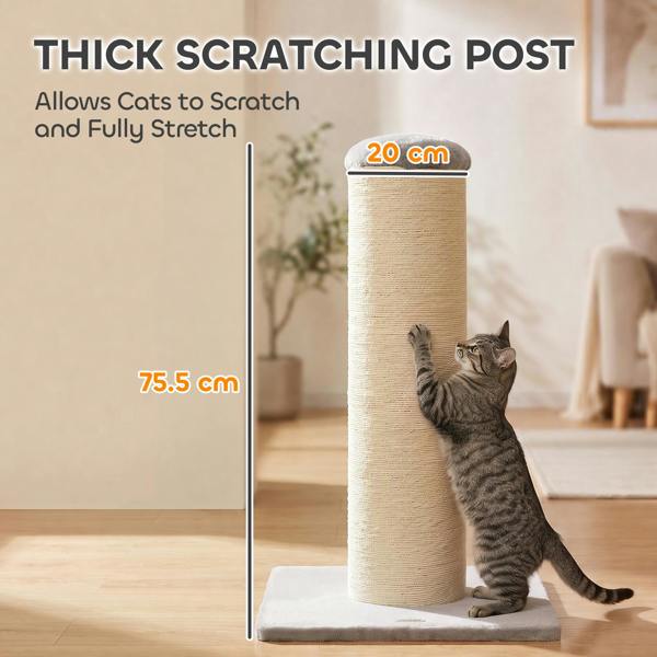 Cat Scratching Post