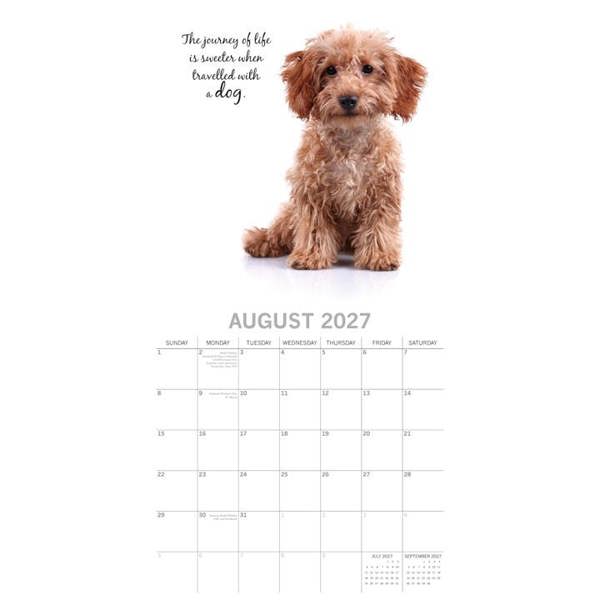 Adorable Dogs Calendar 2027, Wall Calendars, Month To View, Dogs, Gift