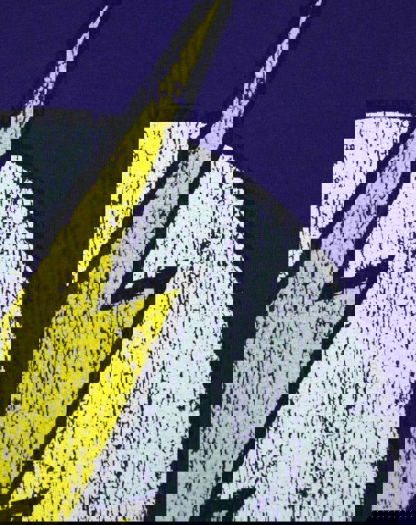 DC Comics Womens Purple Logo Short Sleeved T-Shirt