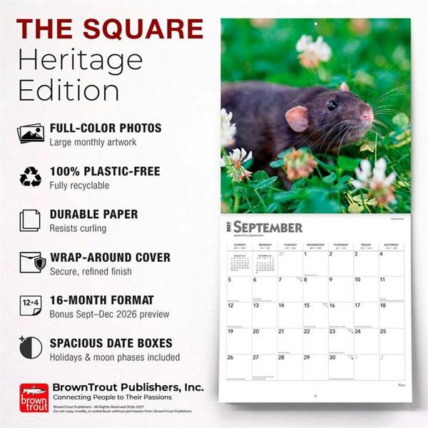 Rats Calendar 2027, Wall Calendars, Month To View, Animals, Gift