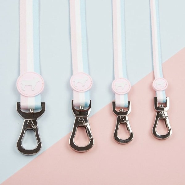 Nylon Dog Leads in Candyfloss Stripe. Four Size Options Available for All Breeds.