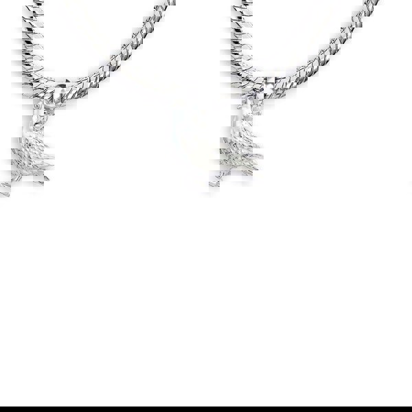 Racing Pigeon Silver Charm - MYLEE London