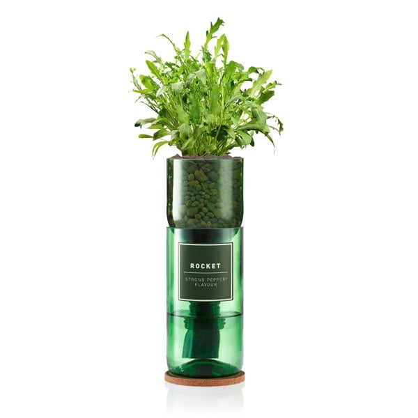 Urban Farm-It Hydro-Herb Rocket Kit