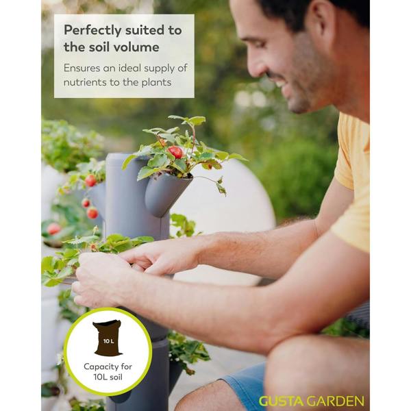 SISSI STRAWBERRY easy-watering strawberry tree