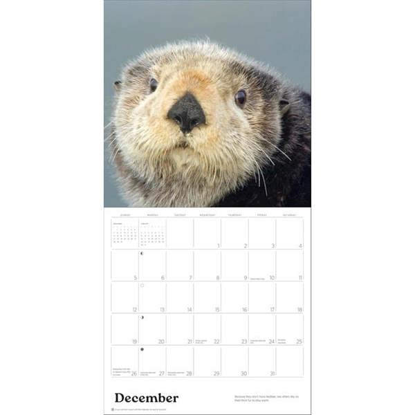 Unbranded Sea Otters Calendar 2027, Wall Calendars, Month To View, Animals, Gift