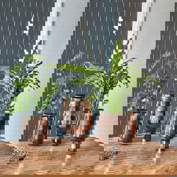 #color_metallic-bronze