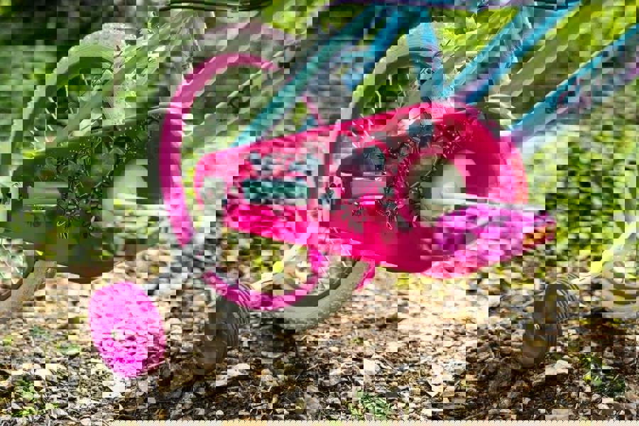 Huffy So Sweet 16" Kids Bicycle - Blue/Pink