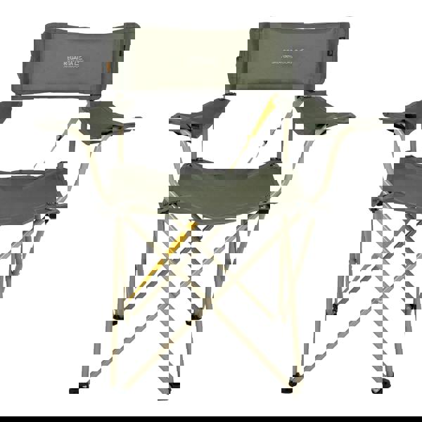 Regatta Isla II Folding Chair - Four Leaf Clover