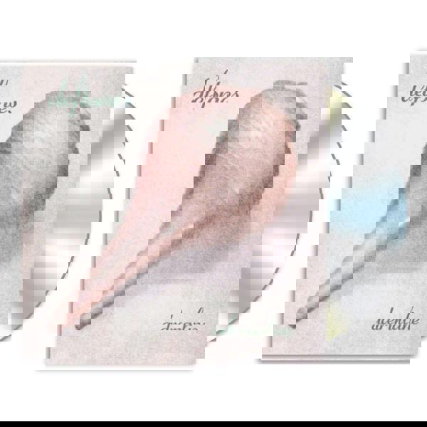 Deftones 'Adrenaline' CD Jewel Case