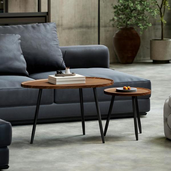Coffee Table Set