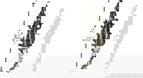 Siva ''Swimming Animal Crocodile ''