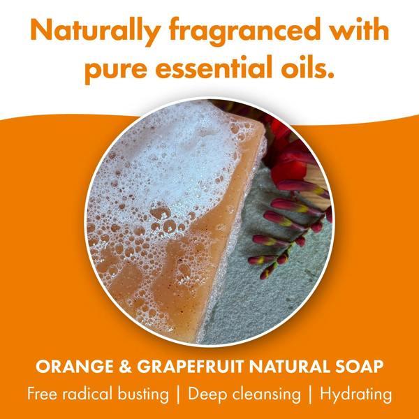 Friendly Soap 3 Pack - Natural Soap - Orange & Grapefruit