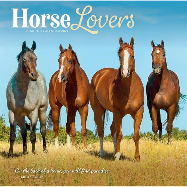 Horse Lovers Calendar 2027, Wall Calendars, Month To View, Animals, Gift