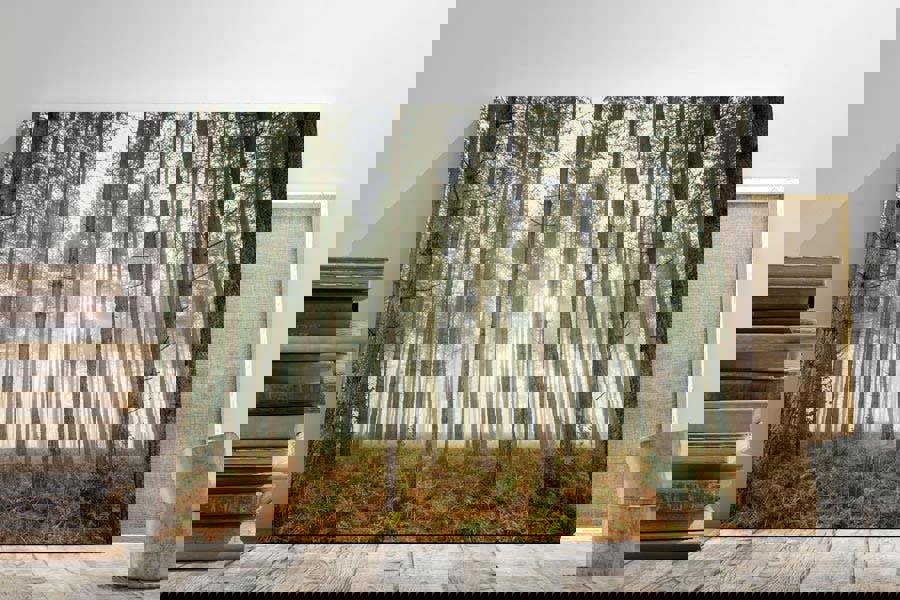 Woodland Fog by Rick Bowden