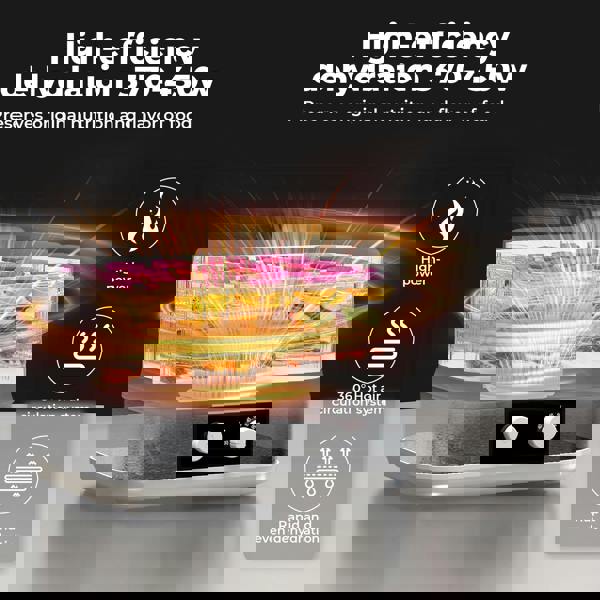 Spector 5 Tray Stainless Steel Food Dehydrator Jerky Fruit Vegetable Dryer White