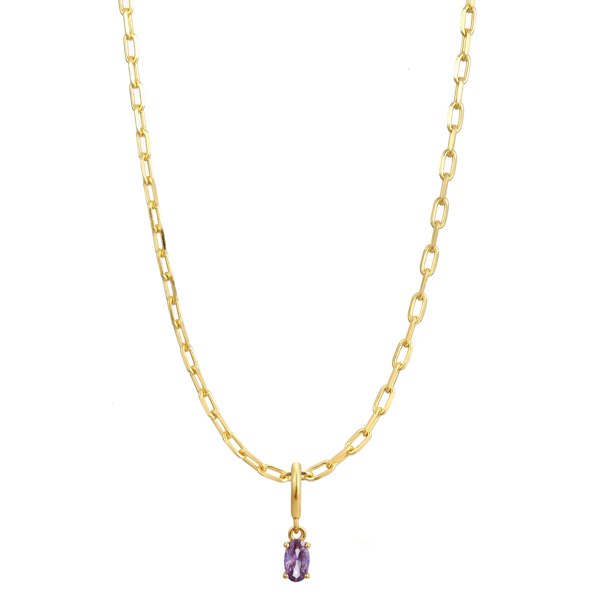 Gold Trip February Birthstone Necklace