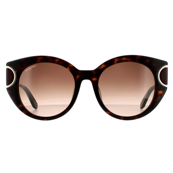 Salvatore Ferragamo Sunglasses SF840SA 214 Tortoise Brown Gradient