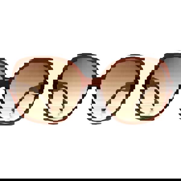 Calvin Klein Sunglasses CK19538S 210 Crystal Brown Brown Gradient