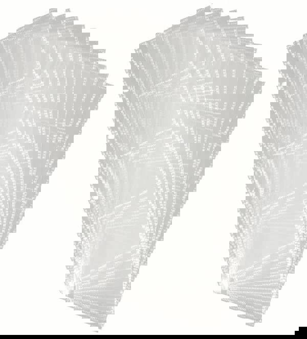 Durable VISIFIX Punched Pocket Wallets for 4 Business Cards | 10 Pack | Clear