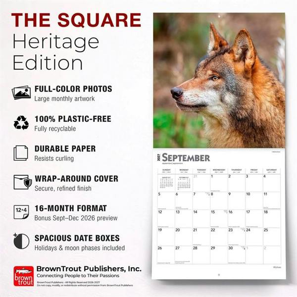 Wolves Calendar 2027, Wall Calendars, Month To View, Animals, Gift