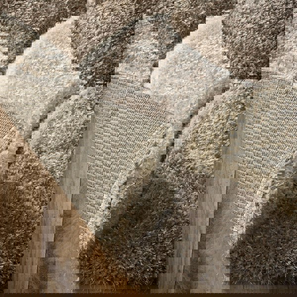 Origins 3D Scallop Neutral