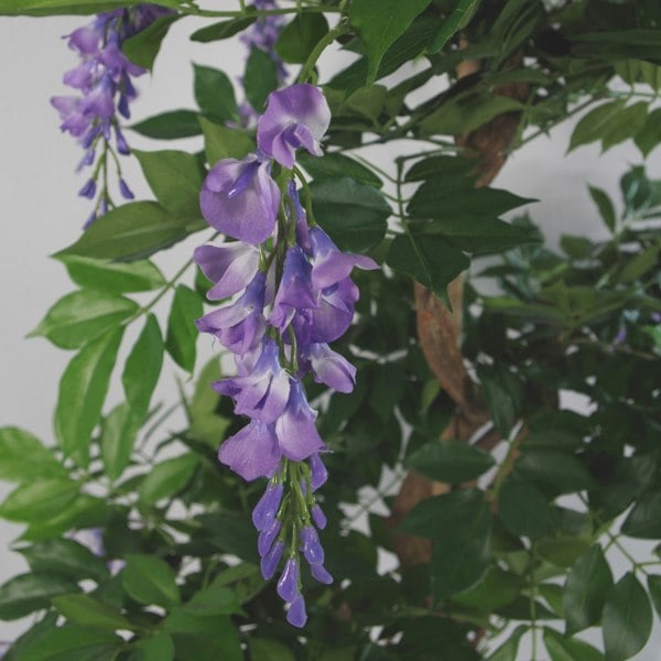 Leaf 110cm Artificial Purple Wisteria Tree