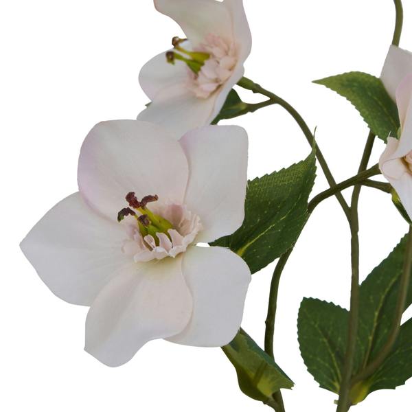 Wyld Haus Set of3 Artificial Flowers White Hellebore Stem
