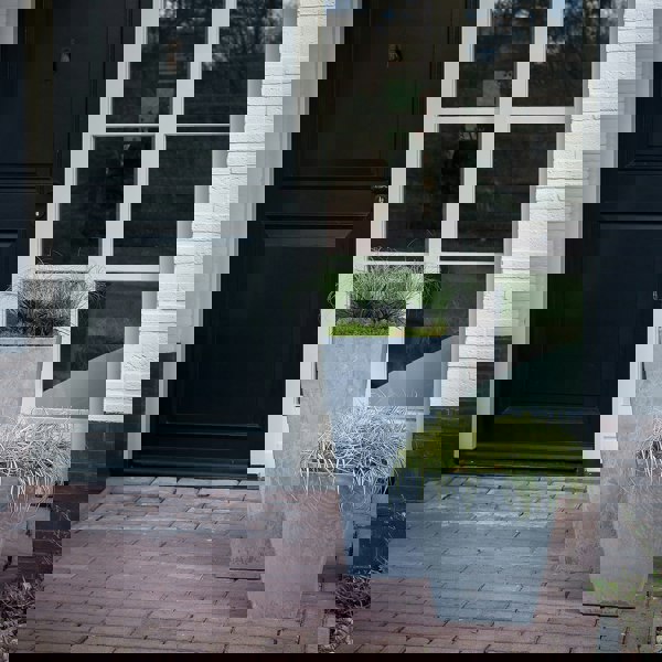 #color_grey