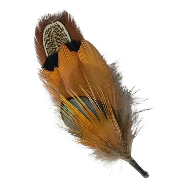 Gamble & Gunn Feather Mounts - Collection of 8 (Pack B)