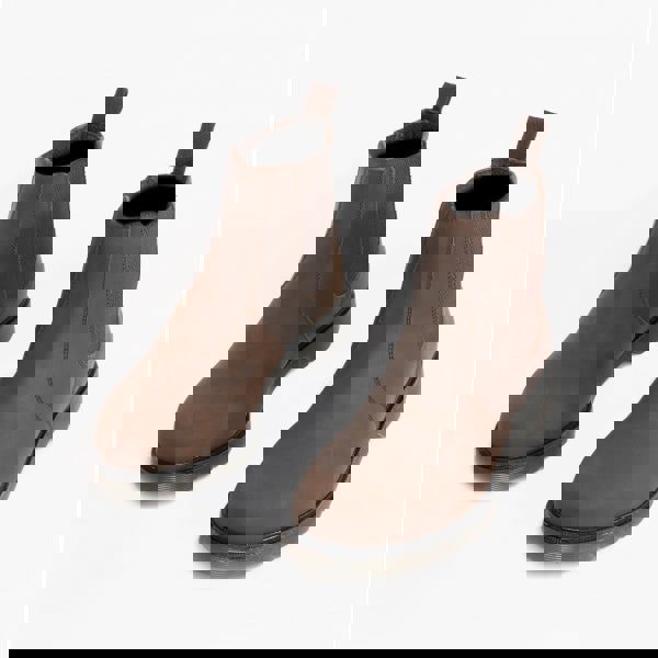 1643017313-74230900.jpg