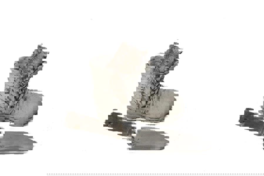 Cat in Shoe Stone Garden Ornament