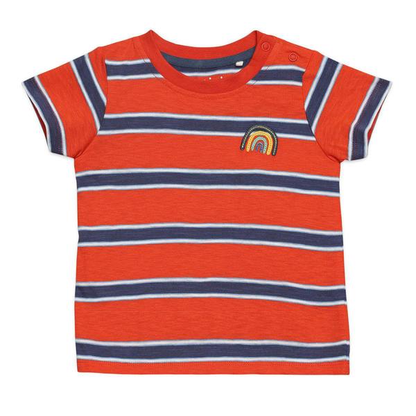 Mini Cuddles Baby Boys 3pk Printed & Striped T-Shirts, Multicolour