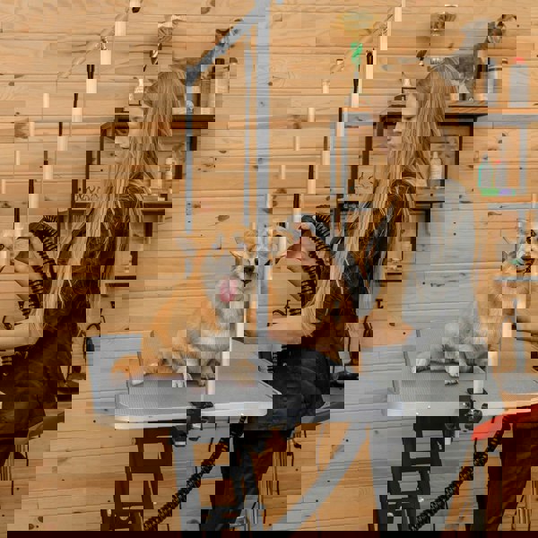 Black hydraulic grooming table with a grey top, featuring a happy corgi being groomed by a stylist in a pet-friendly salon