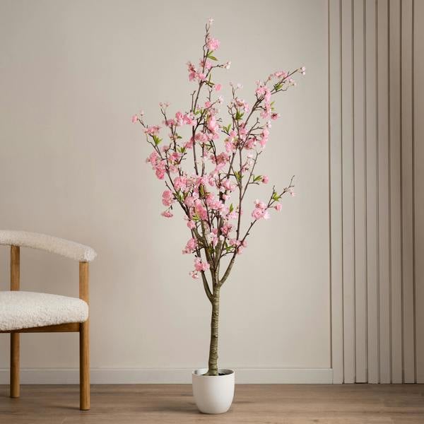 Scottish Everlastings 160cm Pink Cherry Blossom Tree