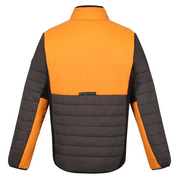 Regatta Men's Halton VII Contrast Panel Baffled Padded Jacket - Ash/Orange Pepper