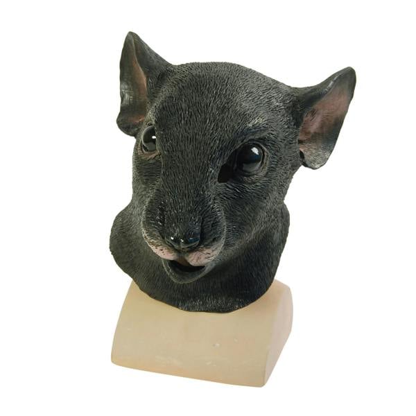 Bristol Novelty Unisex Adults Rat Mask - Black - 