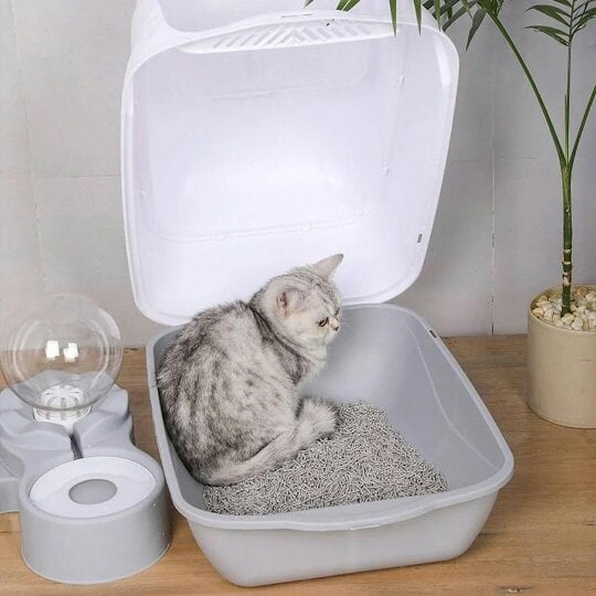 Havendro Extra Large Open Cat Litter Tray High Sided Deep Jumbo Rim Pan Box Loo Toilet
