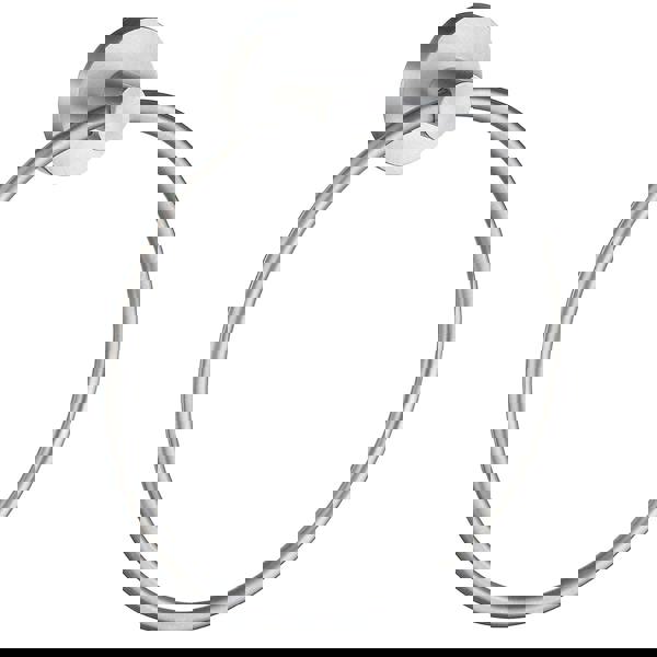 Brushed chrome towel ring