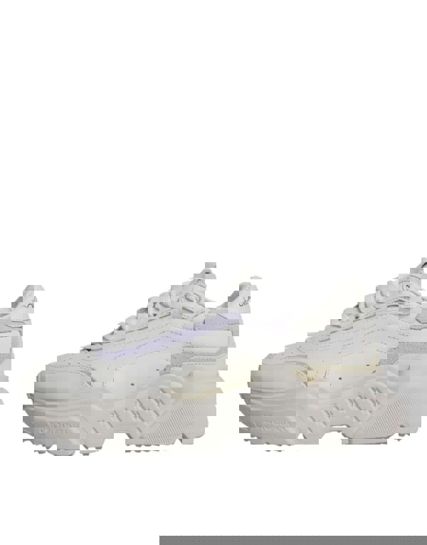 186243598.jpg