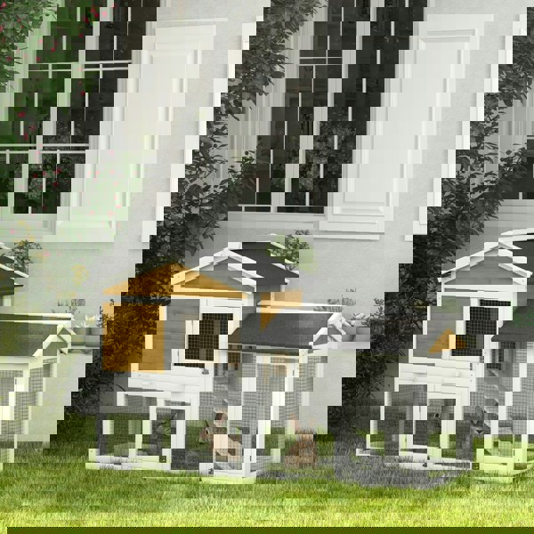 D51-101V00YL
