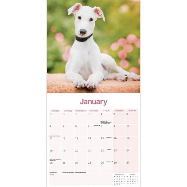 Greyhound Calendar 2027, Wall Calendars, Month To View, Dogs, Gift