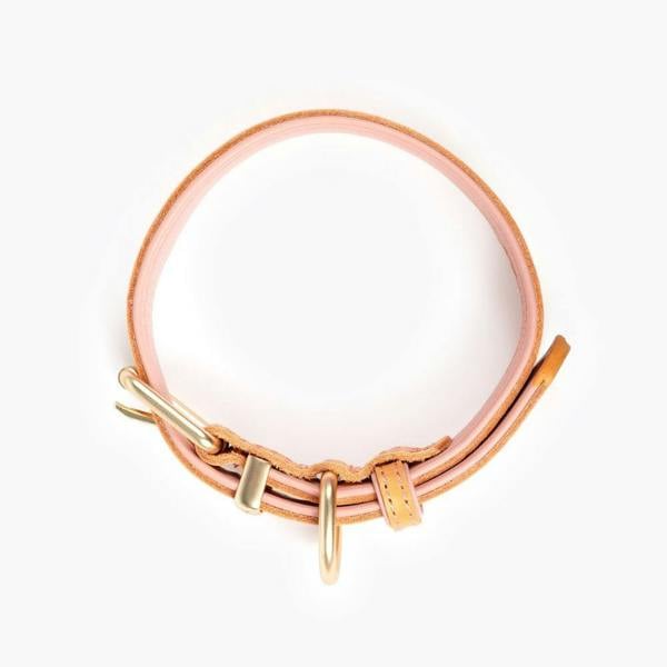 EzyDog Oxford Leather Classic Dog Collar in Pink