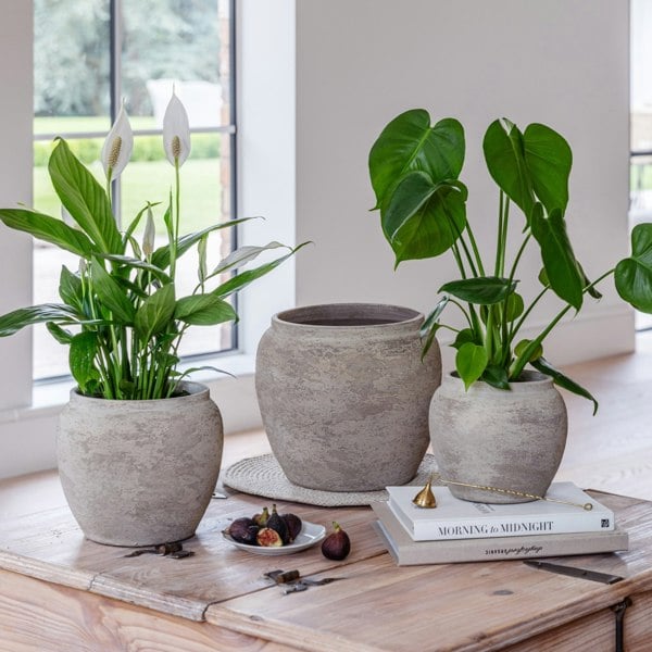 Ivyline Milos Rustic Round Planter