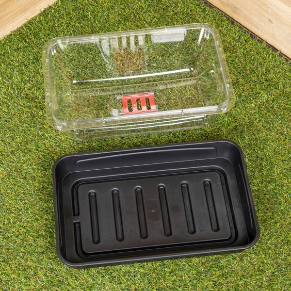 Samuel Alexander 4 x 38cm Unheated Seed Starter Tray Grostart Midi Propagator Indoor Seedling Planter