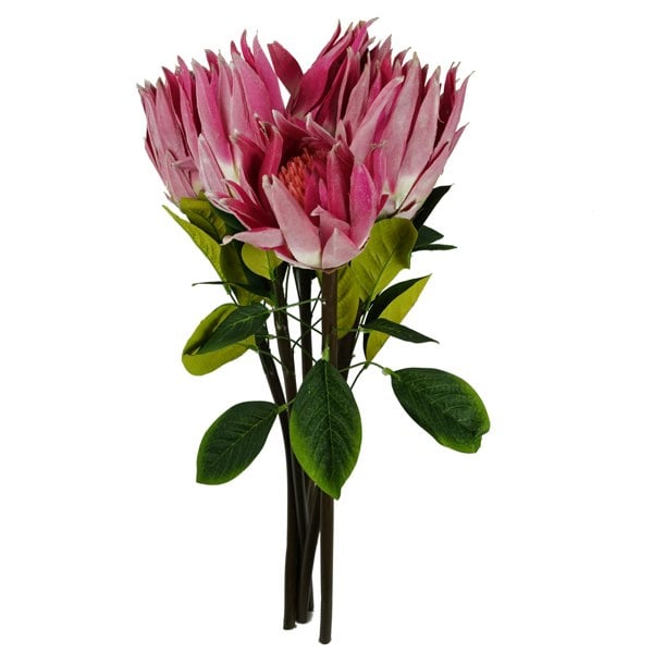 Leaf Pack of 6 x 65cm Protea Sugarbush Flower Stem - Pink