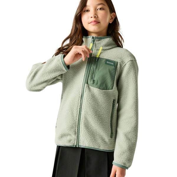 Regatta Childrens/Kids Frankie Colour Block Fleece Jacket - Glacier Green/Dark Forest Green - 