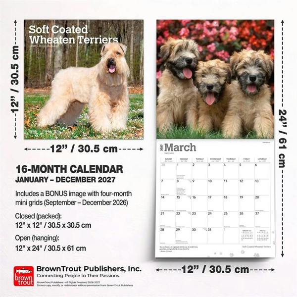 Soft Coated Wheaten Terriers Calendars 2027, Wall Calendars, Month To View, Dogs, Gift