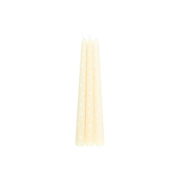 Serano Set of 3 Carrot Patch Daisy Taper Candles